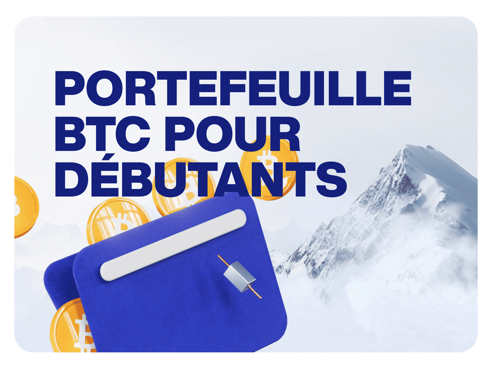 Quel portefeuille Bitcoin choisir pour débuter ?