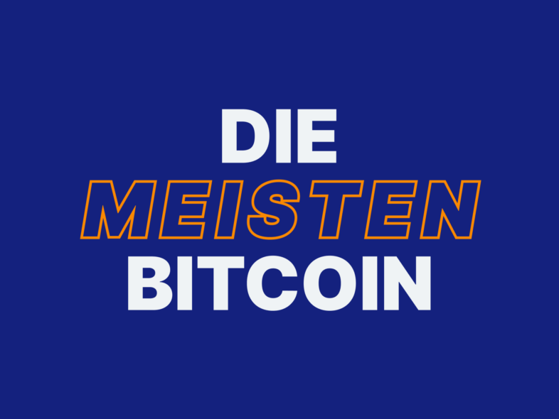 wer hat die meisten bitcoins bild 1